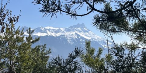 01.03.26 – Balade géo-botanique au Bois de la Glaive