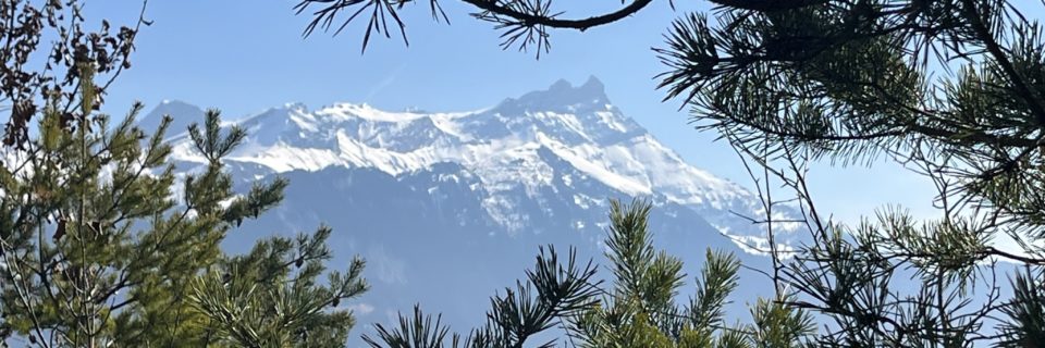 01.03.26 – Balade géo-botanique au Bois de la Glaive