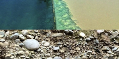 12.04.26 – Balade au fil du temps (Rhône – Genève)