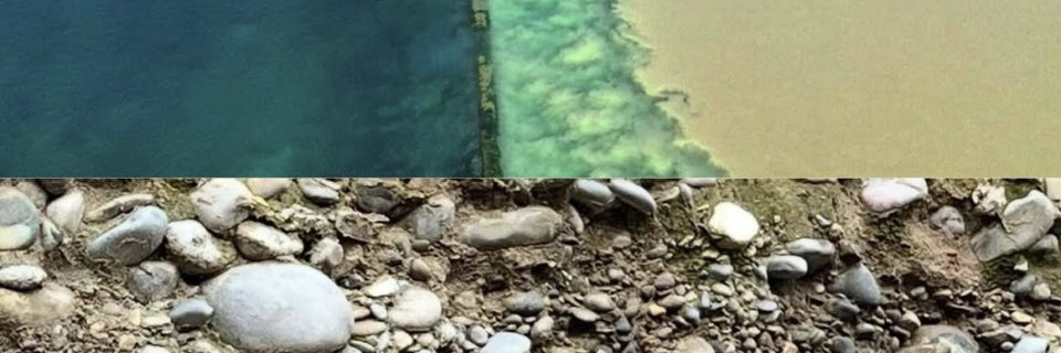 12.04.26 – Balade au fil du temps (Rhône – Genève)