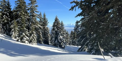 10.01.26 – Raclette et DVA