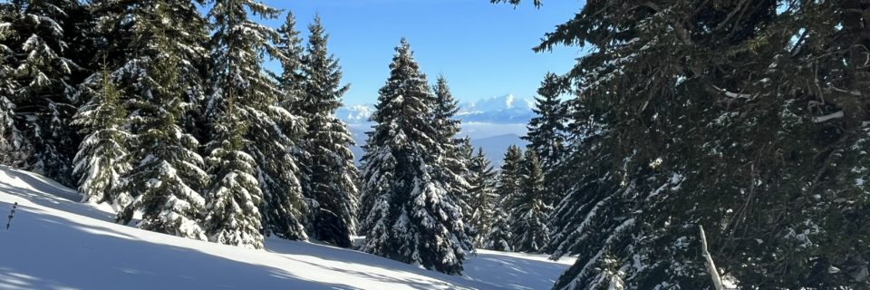 10.01.26 – Raclette et DVA