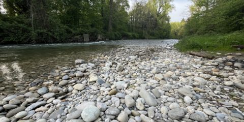 18.01.26 – Le Cycle de l’eau et les fario