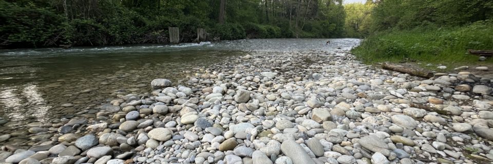 18.01.26 – Le Cycle de l’eau et les fario